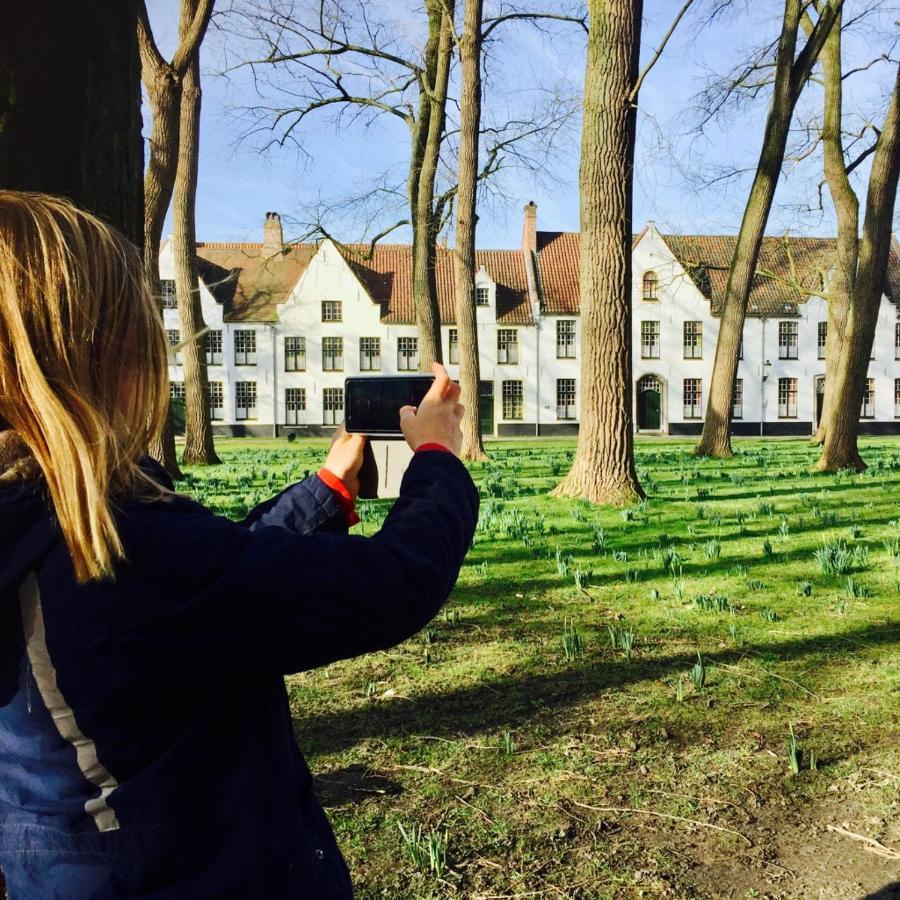 Lisdodde 3* Bruges